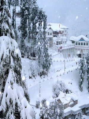 top simla tour travel package
